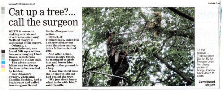Timberscape news cutting from local paper.